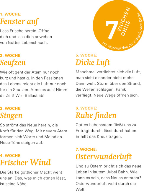 7 Wochen in der Übersicht